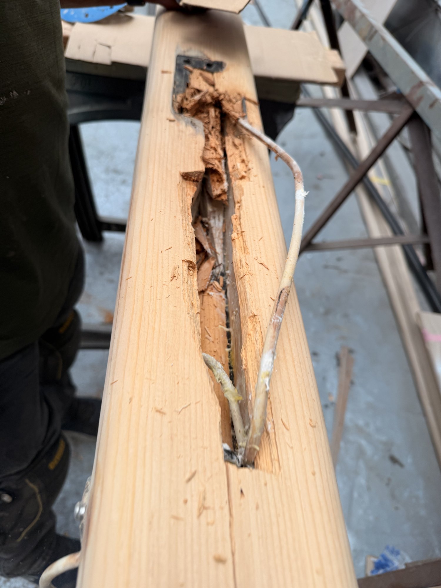 Rot cut out of a wooden spar, opened back to sound timber before repair.